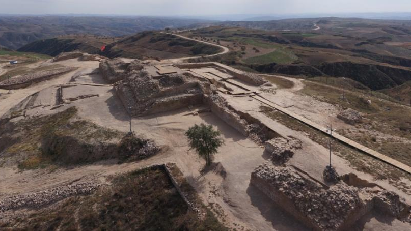 走进石峁:古DNA揭示石峁古城人群的遗传来源与社会结构